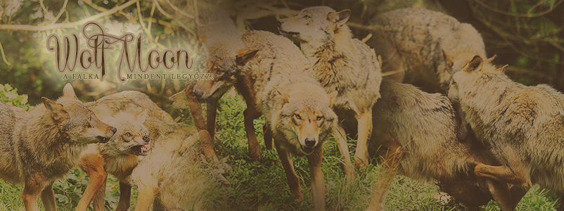 Wolf Chapter Header Wolves Header by HUNAbbsolute on DeviantArt