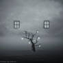 Writings Of The Lost Dreamers
