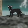 Ravenpaw