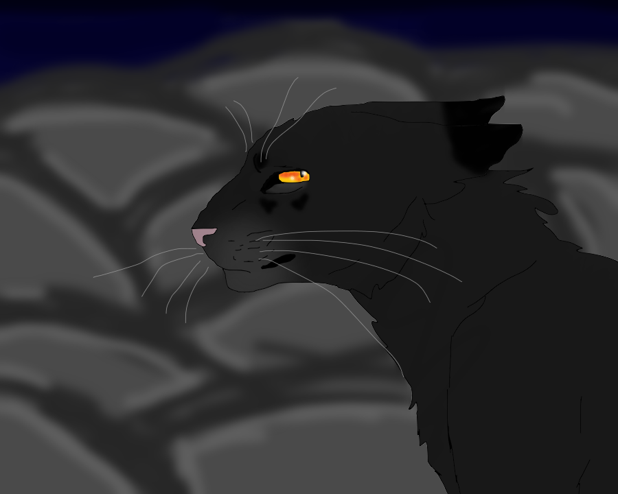 Nightcloud by TheRealBramblefire on DeviantArt
