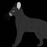 Crowfeather Design