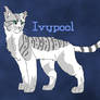 Ivypool Design