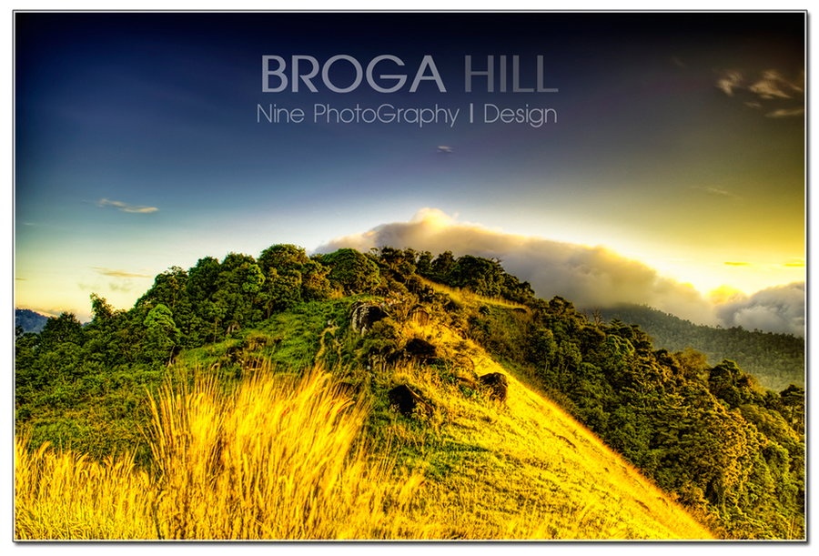 Broga Hill