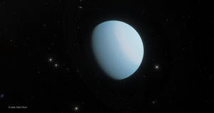 ~The Odd-Ball~