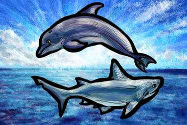 Dolphin and shark