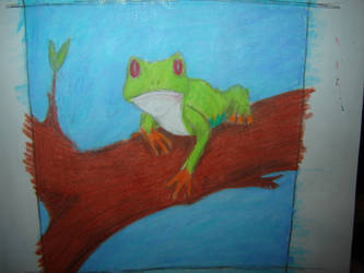 Watercolor Frog