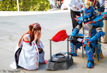 Anime Expo 2014