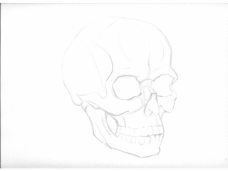 animated skull rotation by overcome on DeviantArt