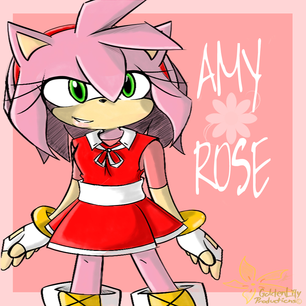 Amy Rose: Yet again, a new outfit.