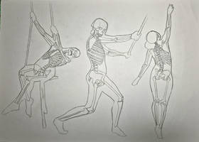 Skeleton study practice (traditionnal art)