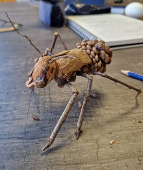 The wooden ant (traditional art)