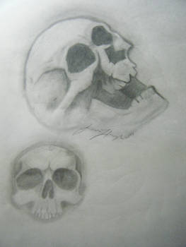 skulls