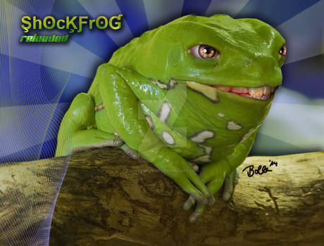 Shockfrog2