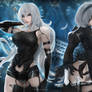 A2 and 2B