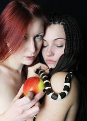 apple and the Snake