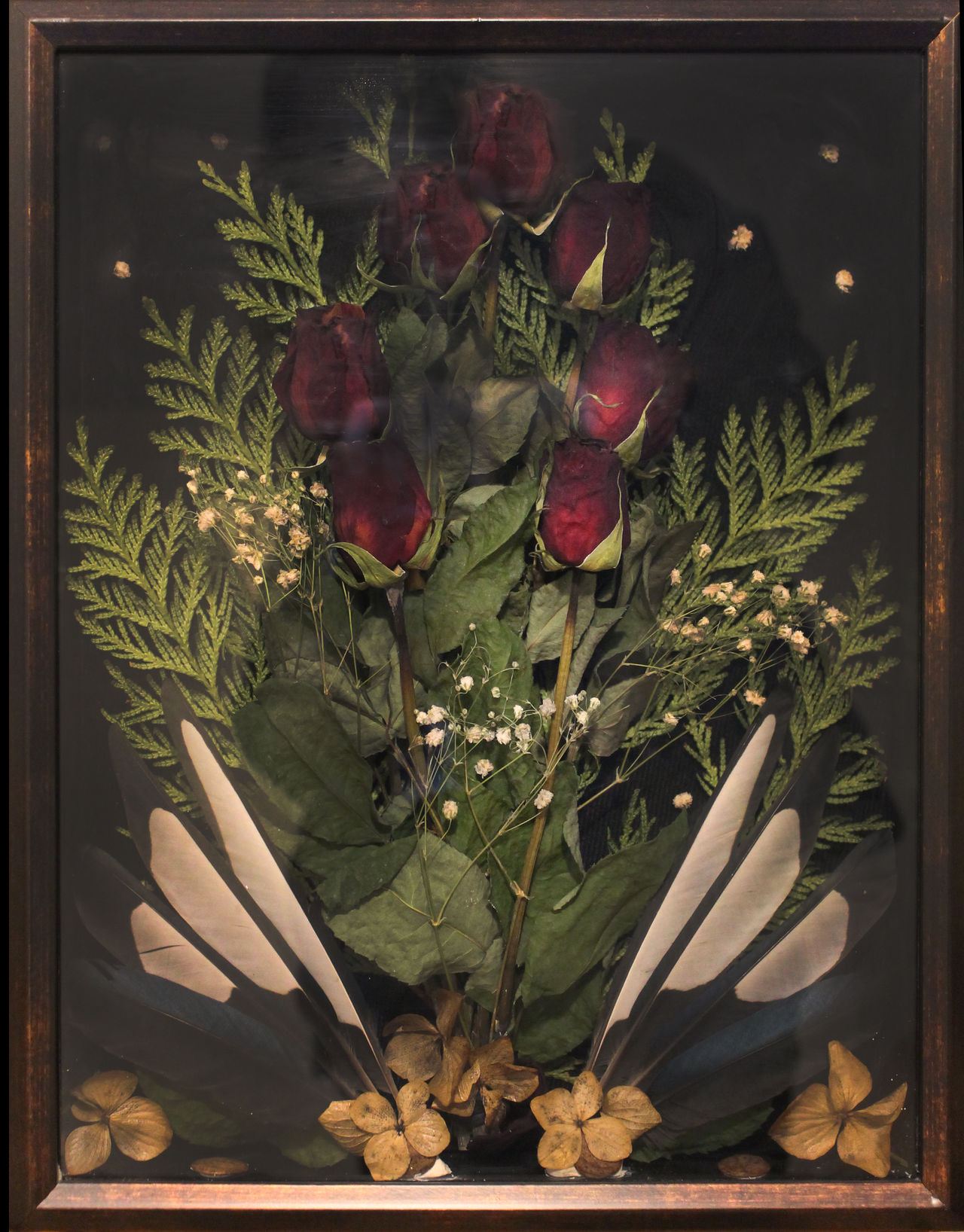 valentine roses in a shadowbox