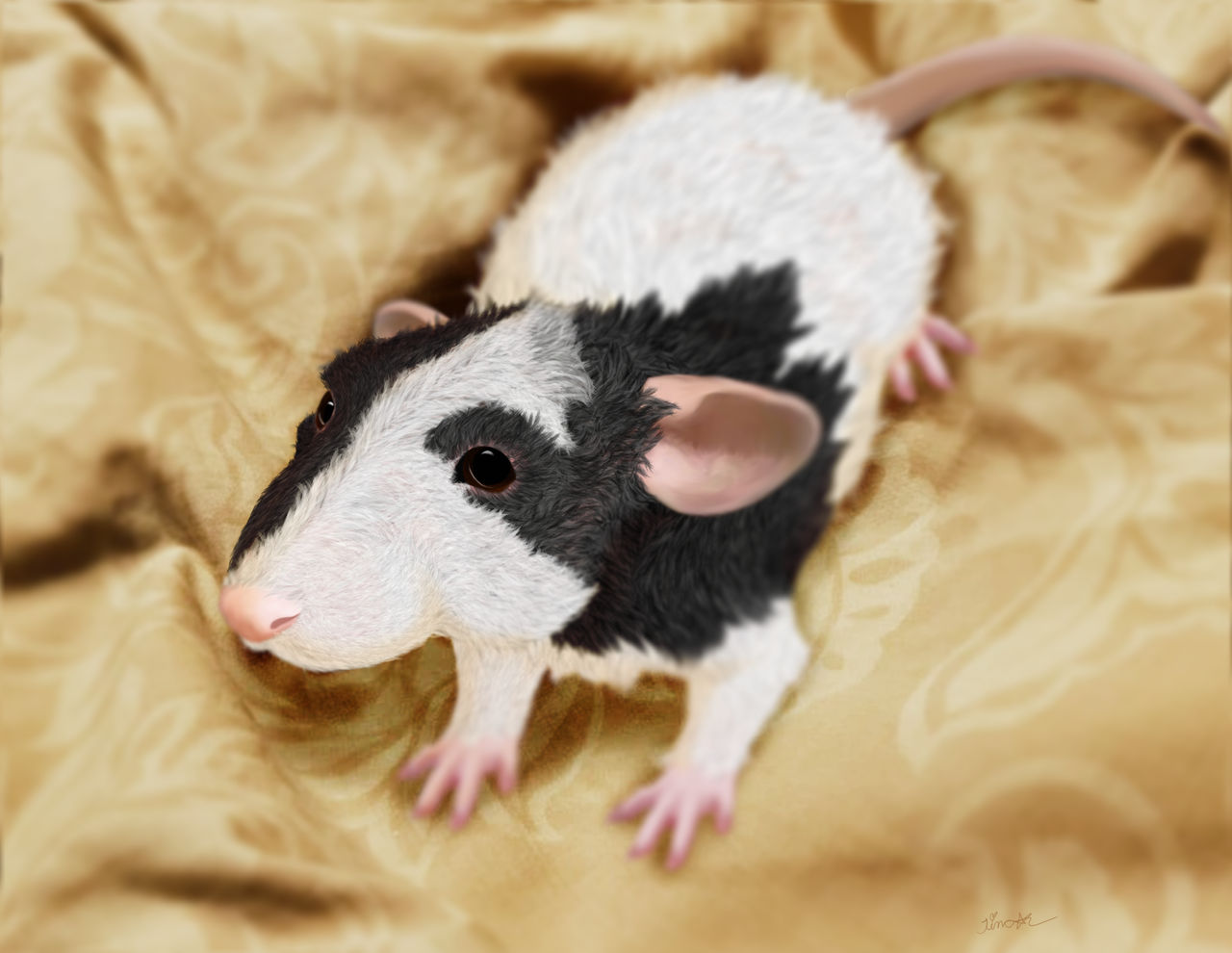 Pet Portrait