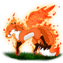 chakura fox