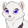 lilly the stoat