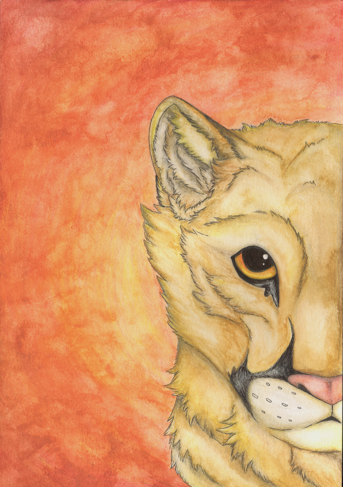 Cougar (watercolor)