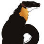 Nilgiri marten