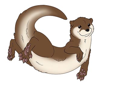 otter