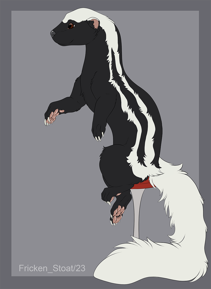 african striped weasel