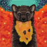 Pine marten