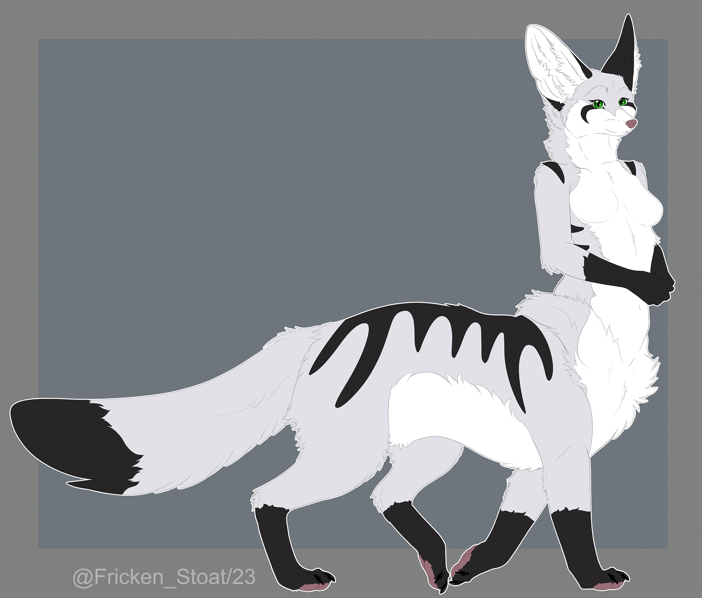 Fret Fennec + base
