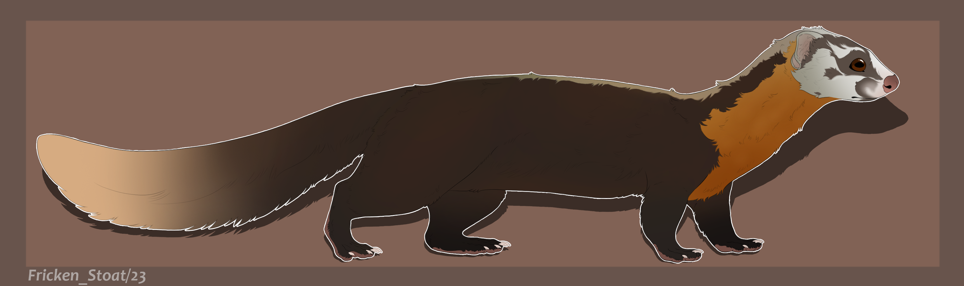 Malayan Weasel - (Dark) brown variant