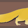 malaysian weasel - golden variant