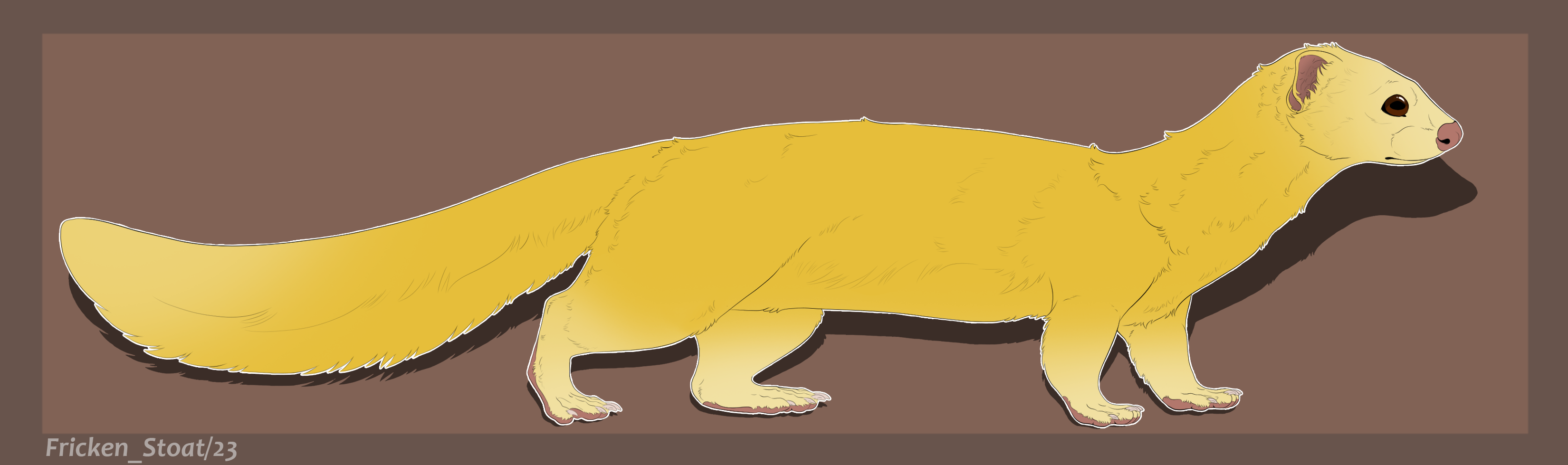 malaysian weasel - golden variant