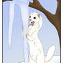 Least weasel