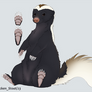 Conepatus chinga - Molinas Hog-Nosed Skunk