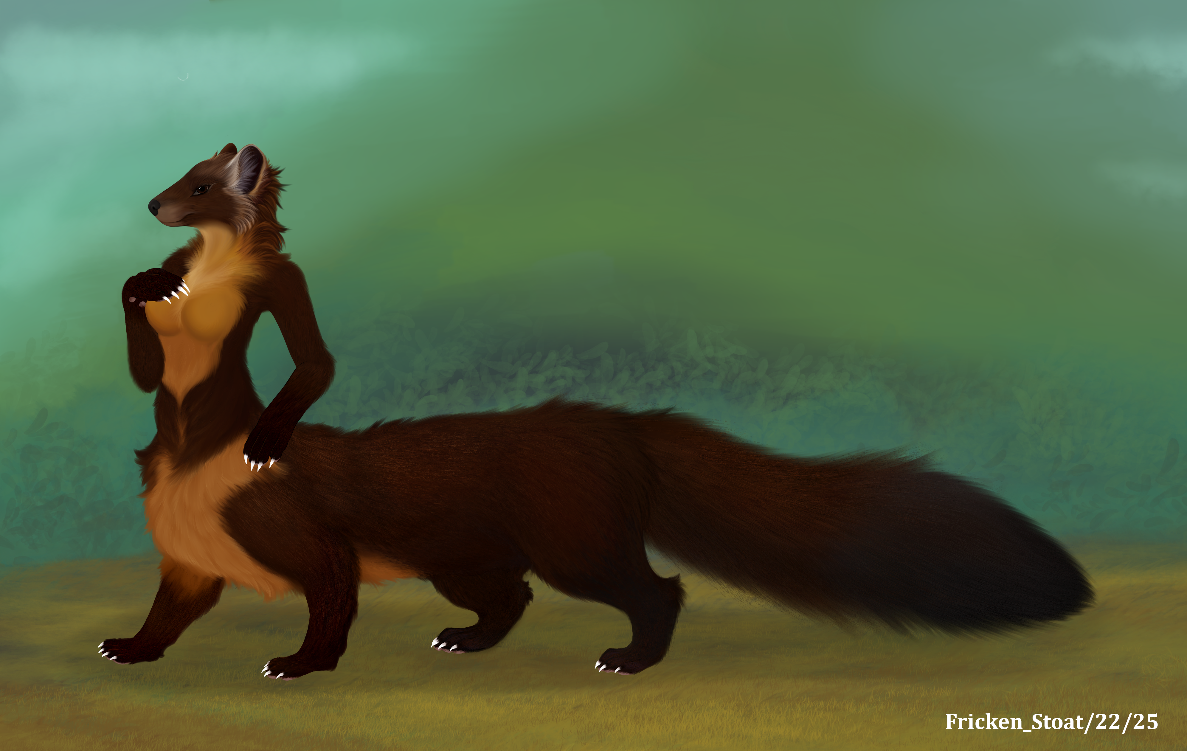 hazel the pine marten taur