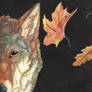 coyote water color