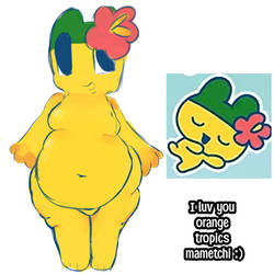 Orange Tropics Mametchi! (Again!)