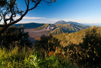 Bromo