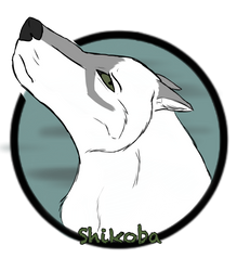 Shikoba Coin