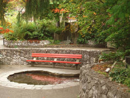 Urban Nature 2