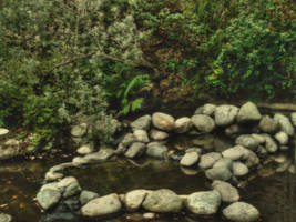 The Secret Pool