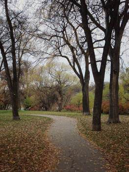 A Manitoba Autumn