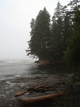 Sheltered Cove