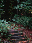 Just a Few Steps by midnightstouchSTOCK