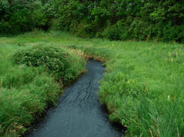 Still Waters