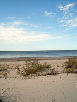 Beach 1