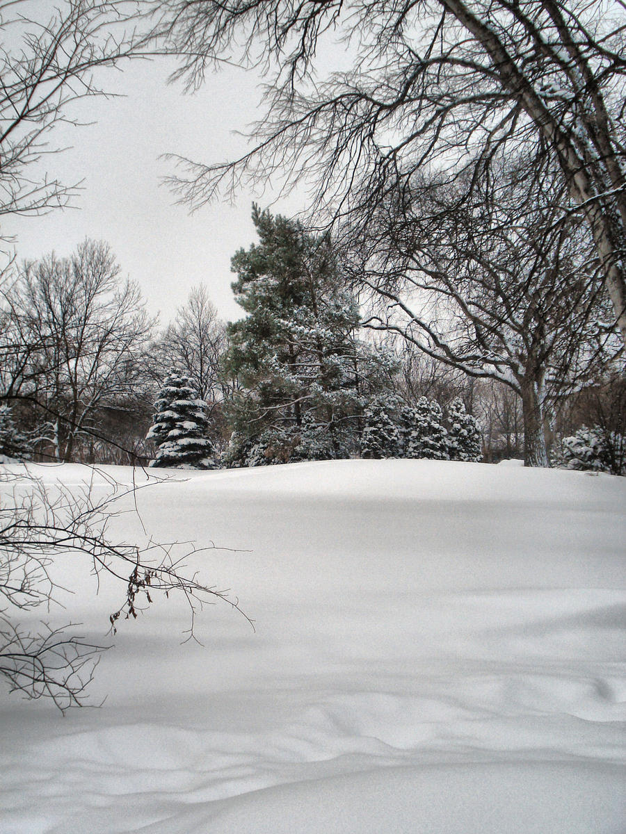 A Blanket of Snow