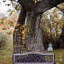 Cemetery Bench