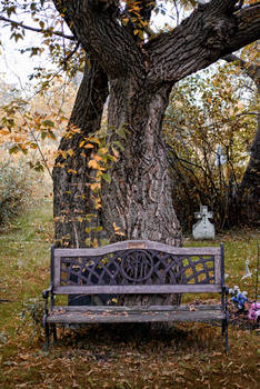 Cemetery Bench