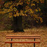 Lonely Bench 2